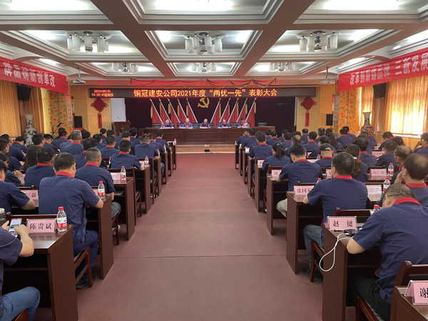公司召開“兩優一先”表彰大會