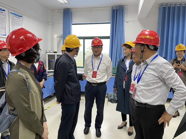 市人大代表到建材公司調研 市人大代表到建材公司調研